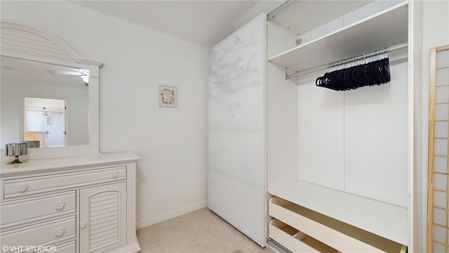 view of spacious closet