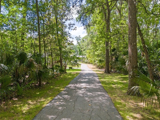 400 SE 90th St, Ocala, FL 34480 - photo 99