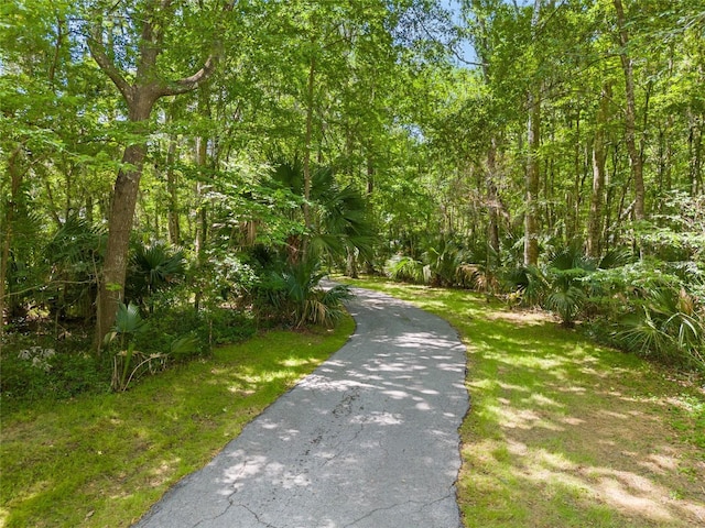 400 SE 90th St, Ocala, FL 34480 - photo 100