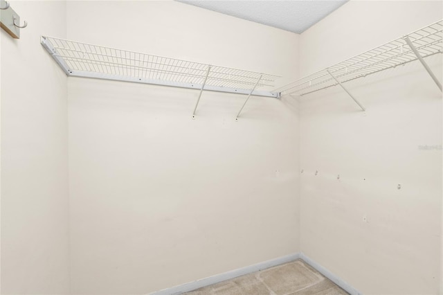 8130 SW 209th Court Rd, Dunnellon, FL 34431 - walk in closet featuring light carpet