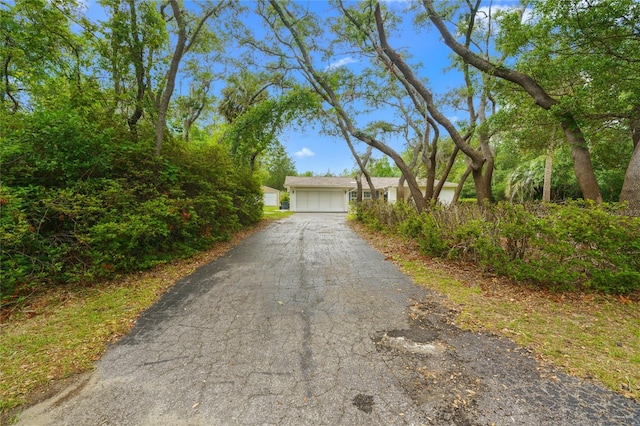8130 SW 209th Court Rd, Dunnellon, FL 34431 - view of asphalt driveway