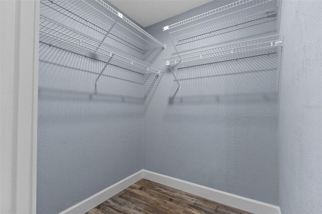260 Country Circle Dr W, Port Orange, FL 32128 - walk in closet with dark wood-style floors