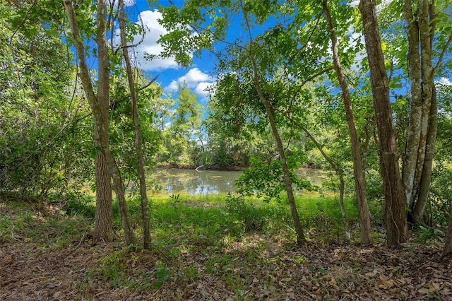 260 Country Circle Dr W, Port Orange, FL 32128 - view of water feature