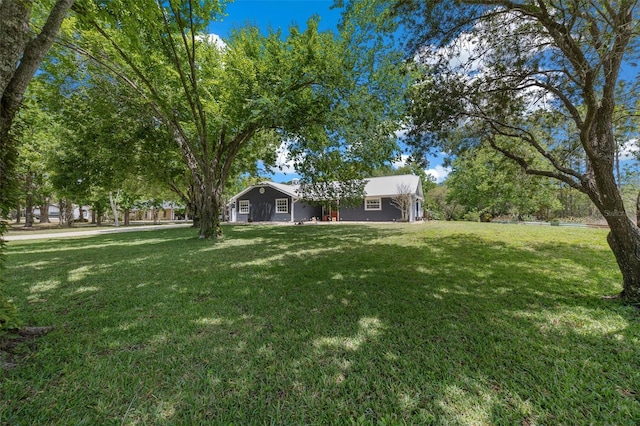 260 Country Circle Dr W, Port Orange, FL 32128 - view of yard