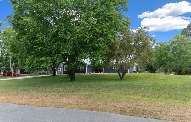 260 Country Circle Dr W, Port Orange, FL 32128 - view of yard