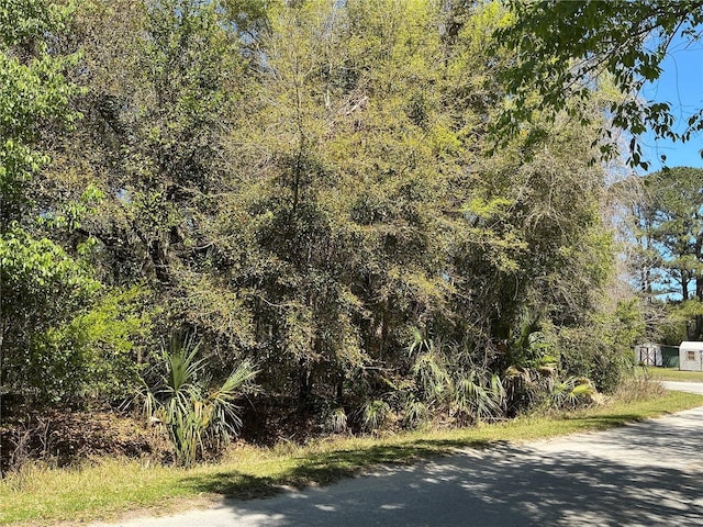 00 SE 139th Ln, Summerfield, FL 34491
