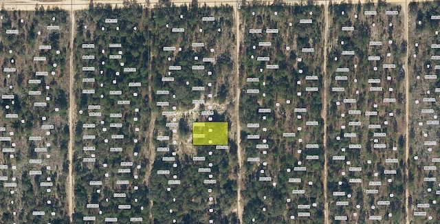 SW 55th Ave, Interlachen FL, 32148 land for sale