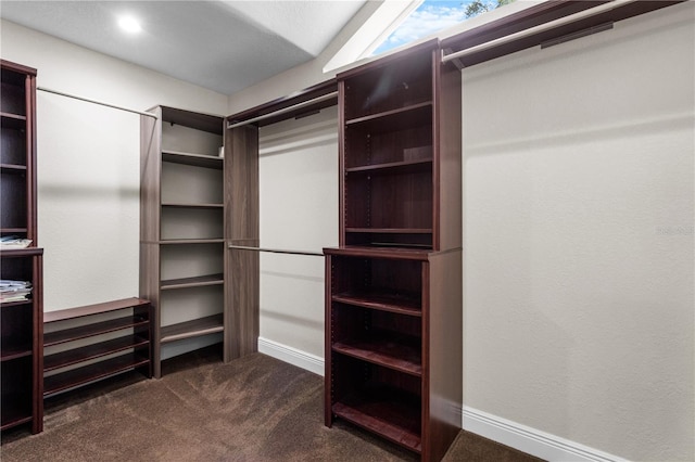 170 SW 80th St, Ocala, FL 34476 - spacious closet featuring dark colored carpet