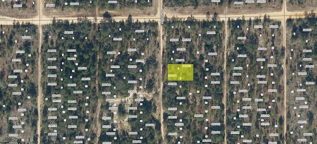 SW 55th Ave, Interlachen FL, 32148 land for sale