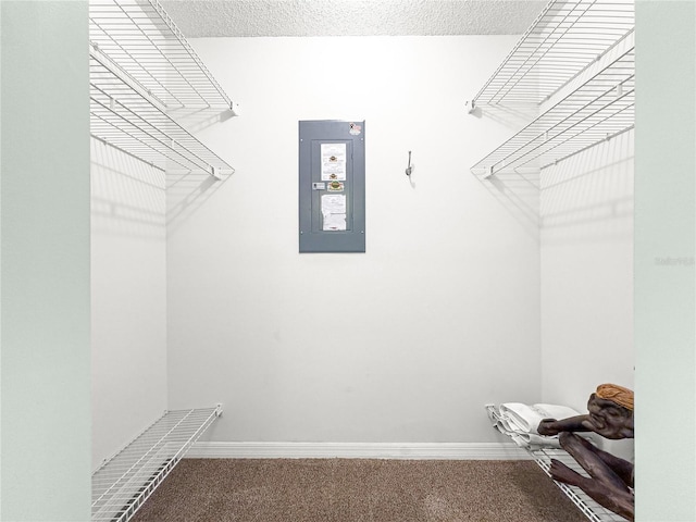 6263 SW 107th St, Ocala, FL 34476 - spacious closet with carpet