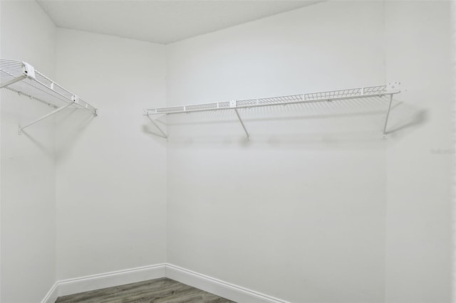 1317 Ravida Woods Dr, Apopka, FL 32703 - spacious closet with wood finished floors