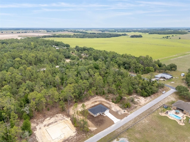23131 SW Rainelle Rd, Dunnellon, FL 34431 - overview of rural landscape
