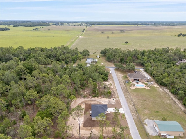 23131 SW Rainelle Rd, Dunnellon, FL 34431 - aerial view of sparsely populated area