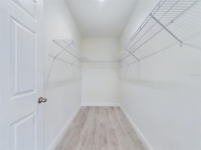 walk in closet featuring light wood finished floors