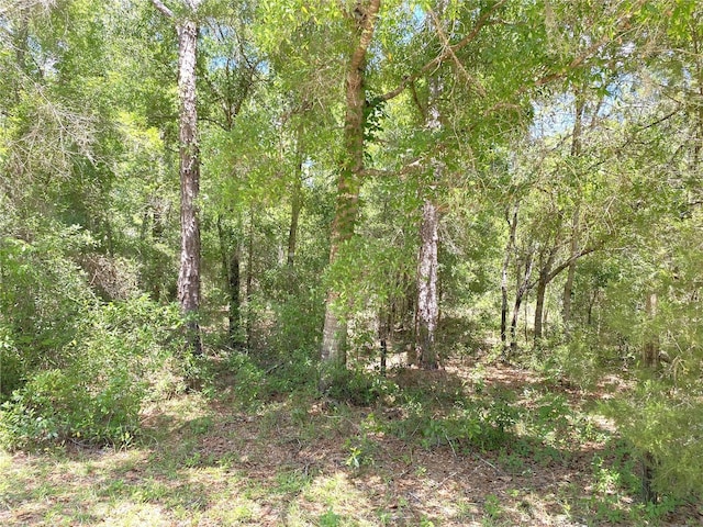 00 NE 141st Ave, Williston, FL 32696
