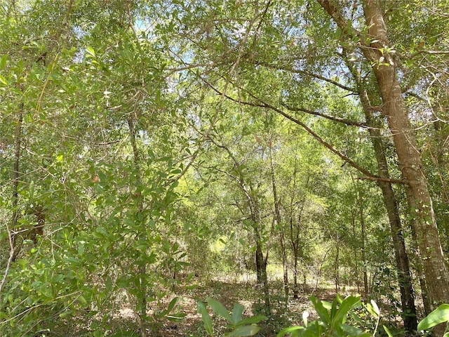 00 NE 141st Ave, Williston, FL 32696