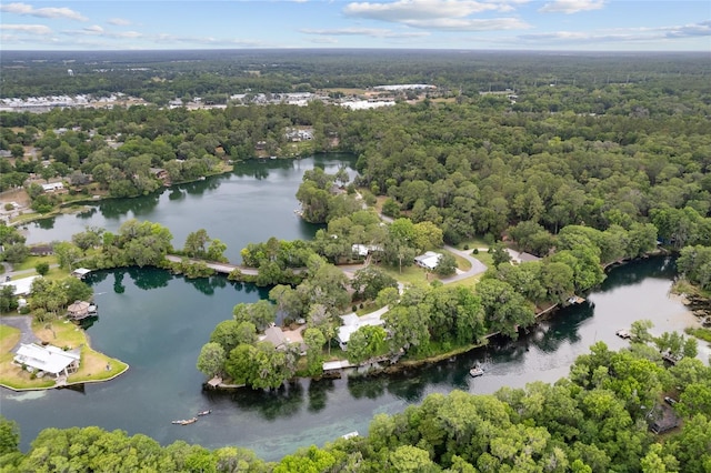 drone / aerial view featuring a water view and a view of trees