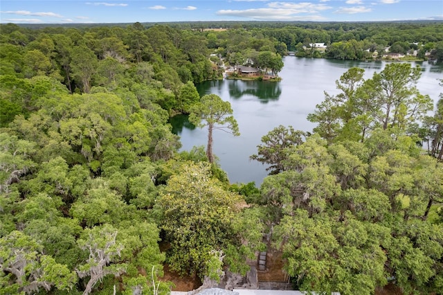 birds eye view of property featuring a water view and a forest view