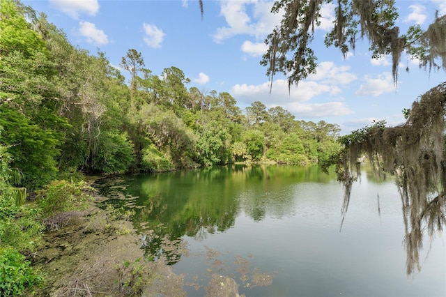 property view of water featuring a forest view