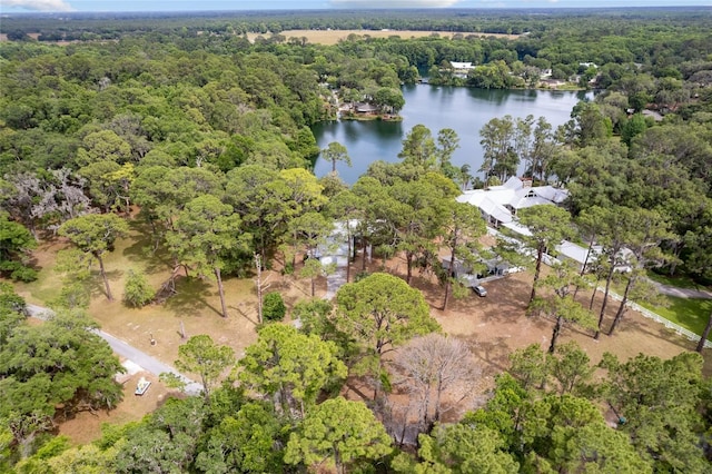 birds eye view of property featuring a water view and a view of trees