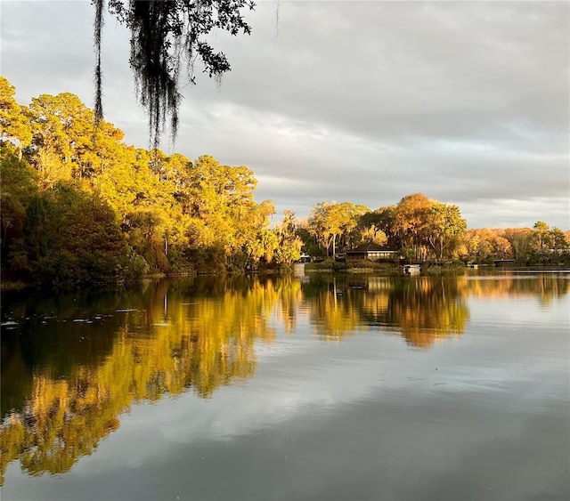water view with a view of trees
