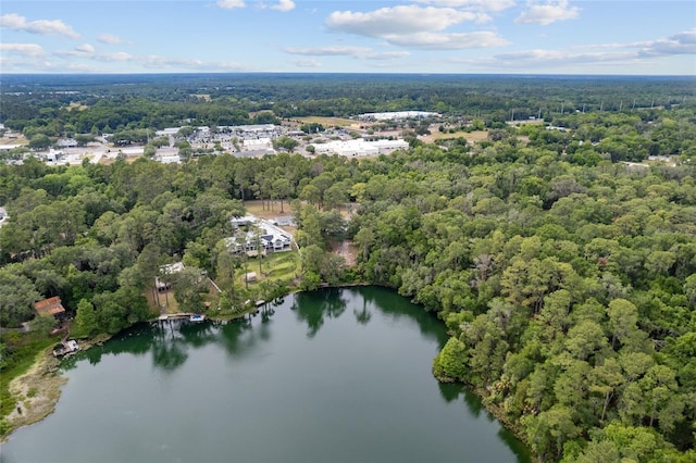 bird's eye view with a water view and a forest view