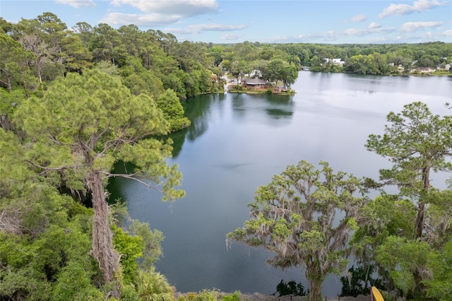birds eye view of property featuring a water view and a view of trees