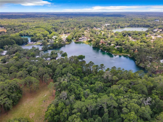 birds eye view of property featuring a water view and a forest view