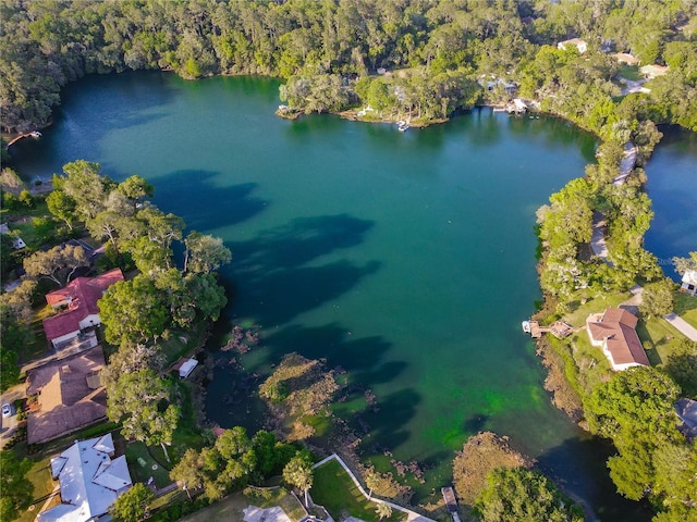 bird's eye view featuring a water view and a view of trees