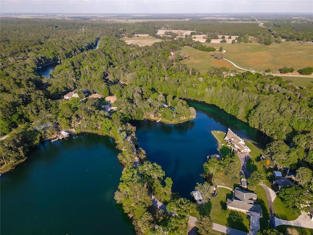 bird's eye view with a wooded view and a water view
