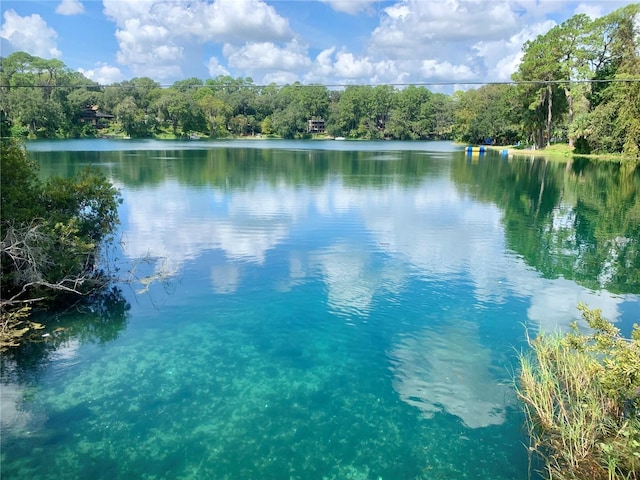 property view of water with a view of trees