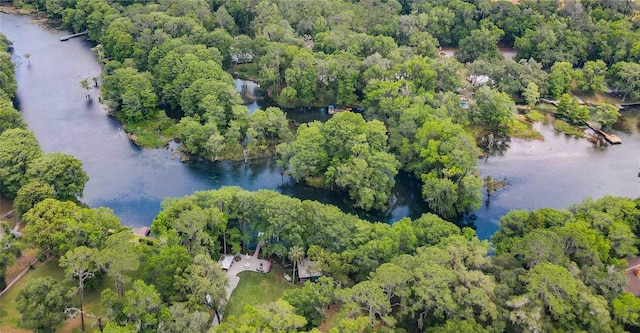 drone / aerial view with a water view and a view of trees