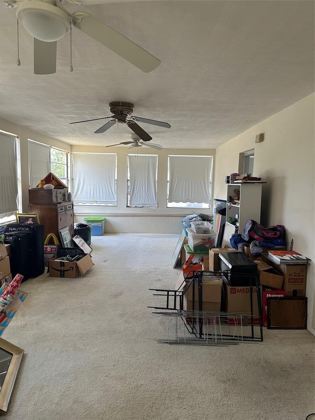 79 S Harrison St, Beverly Hills, FL 34465 - view of sunroom / solarium