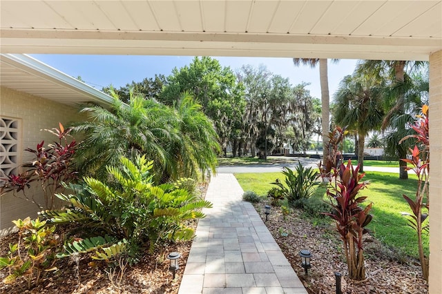 414 NW 8th Ave, Crystal River, FL 34428 - view of community with a lawn
