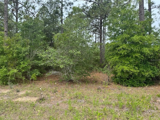 SW Floral Ct, Dunnellon, FL 34431