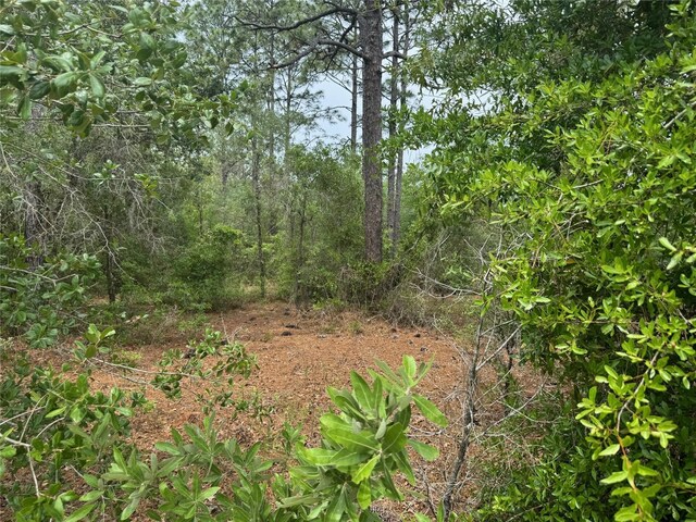 SW Floral Ct, Dunnellon, FL 34431