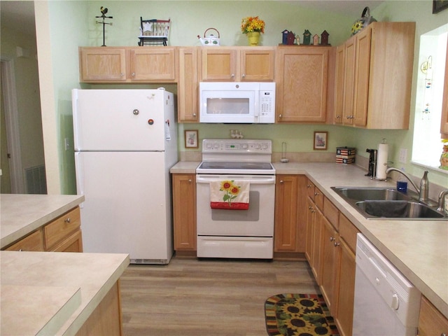 kitchen featuring light wood finished floors, light countertops, a sink, and white appliances
