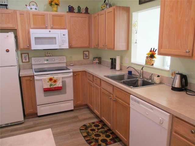 kitchen featuring light wood finished floors, light countertops, a sink, and white appliances
