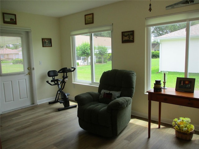 sitting room featuring baseboards, a wealth of natural light, and wood finished floors
