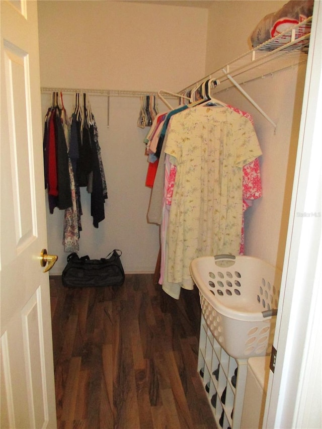 walk in closet with wood finished floors