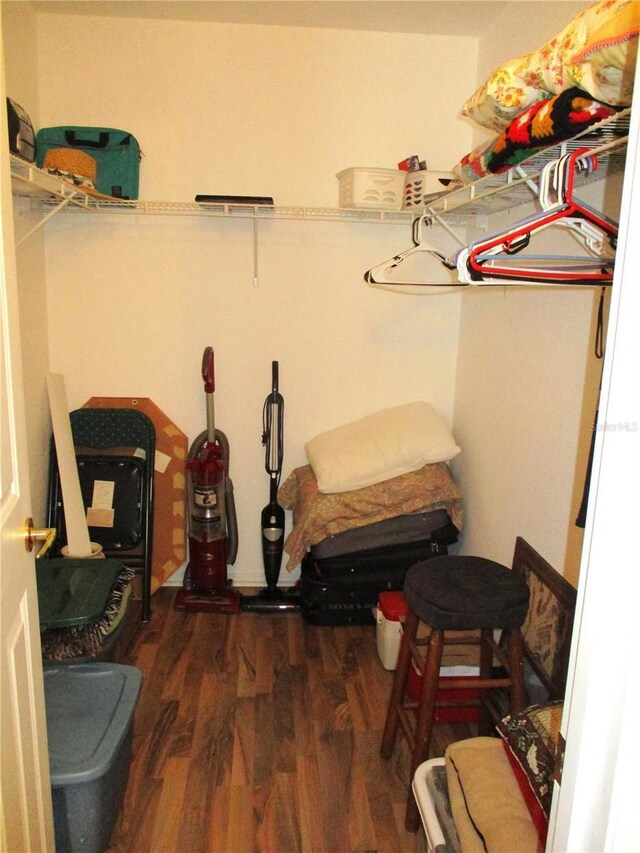 spacious closet featuring wood finished floors