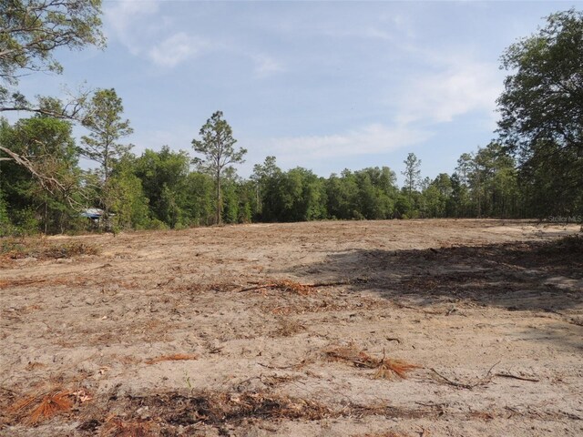 9591 NE 88th Ln, Bronson, FL 32621