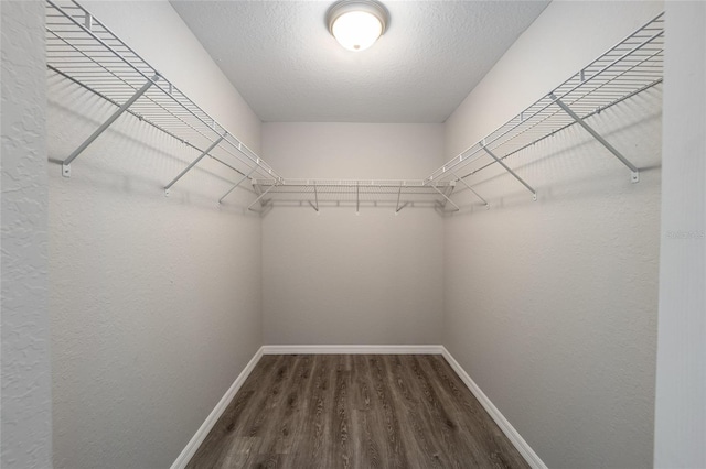 24144 NW Water Oak Ave, Dunnellon, FL 34431 - photo 8