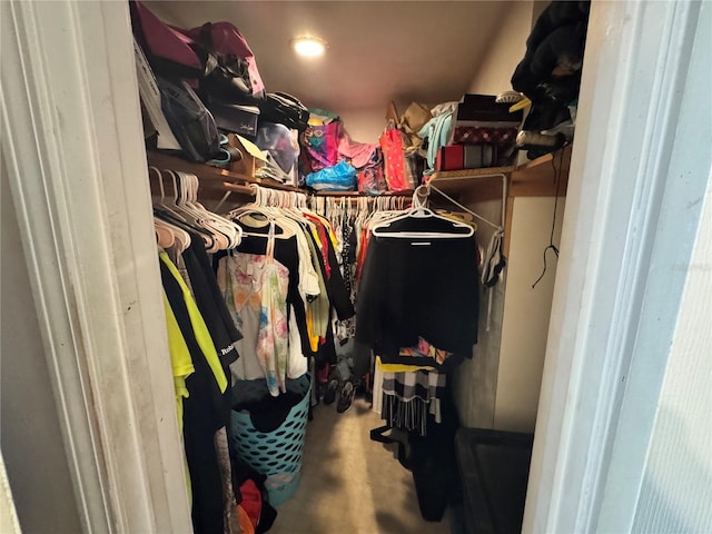 view of spacious closet