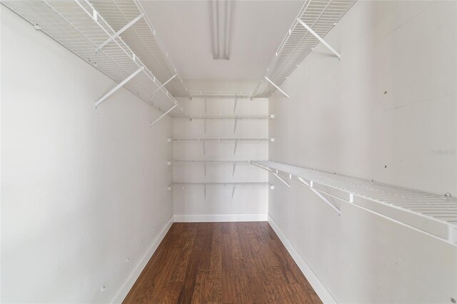 walk in closet with wood finished floors