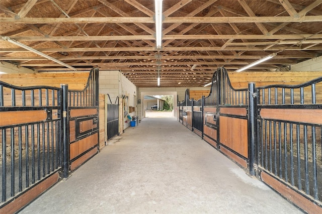 view of horse barn