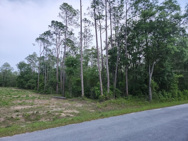 LOT24 SW Hunter Hill Ave, Dunnellon, FL 34431