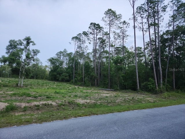 LOT24 SW Hunter Hill Ave, Dunnellon, FL 34431
