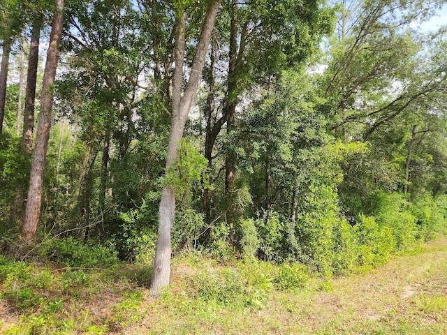 LOT24 SW Hunter Hill Ave, Dunnellon, FL 34431