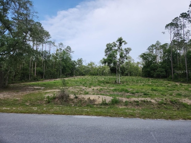LOT24 SW Hunter Hill Ave, Dunnellon, FL 34431